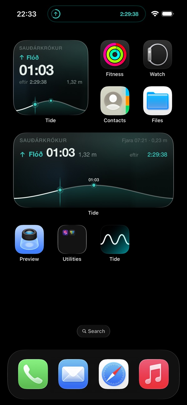 Widgets and Lock Screen